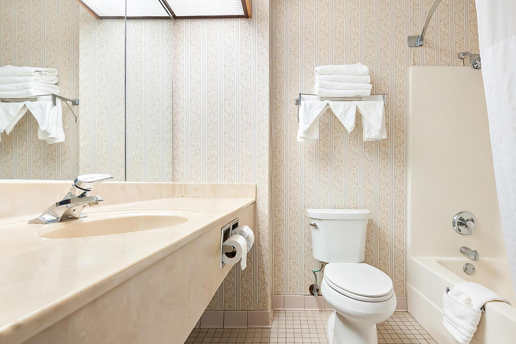 King Room Roll Shower Accessible or Non-Smoking