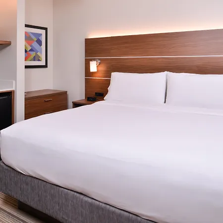 Holiday Inn Express New Orleans - Arts District By Ihg-2