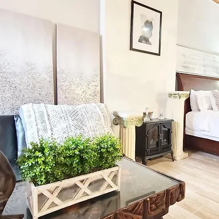 Historic Downtown New Orleans Loft - 2 Min To Fq-2
