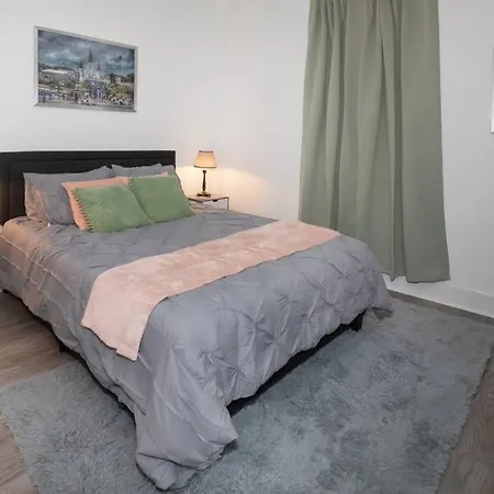 Beautifully Updated New Orleans Home-2