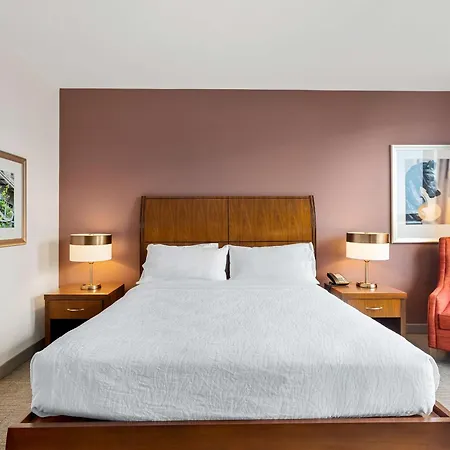 Hilton Garden Inn New Orleans French Quarter/Cbd-2