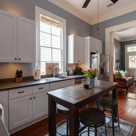 Luxury Historic Shotgun Home In Lower Garden District-2