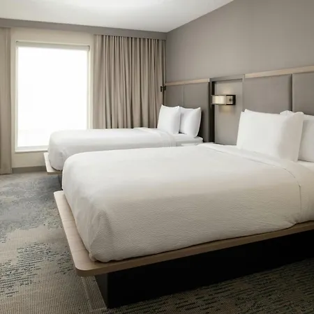 Springhill Suites By Marriott New Orleans Warehouse Arts District-3