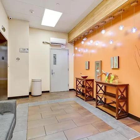 Spacious Condos - Close To Nola Art & Culture-3
