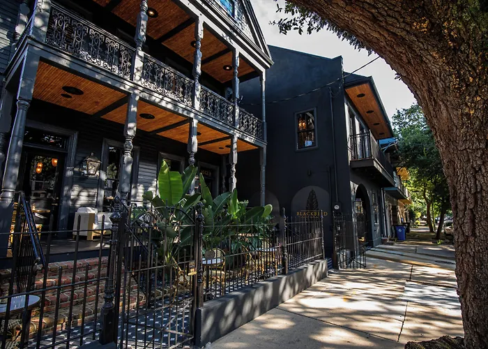 The Prytania Oaks